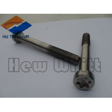 Hochfeste GR5 Titan m6 Schraube Torx Kopf